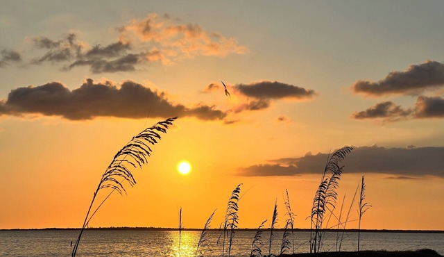 Cozy 2-bedroom in lovely Holiday a family and pet friendly home