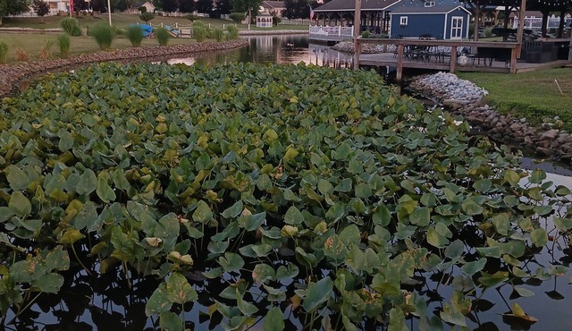 Cozy 2-bedroom RV in tranquil at buckeye lake with AC, WiFi