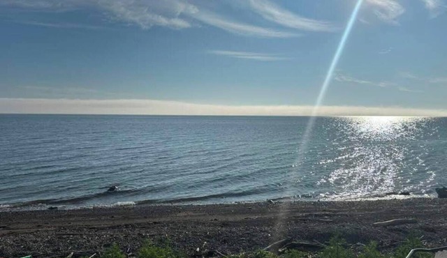 Cozy 2 bedroom Solar Powered Cedar Cottage on the Bay of Chaleur at Charlo NB.