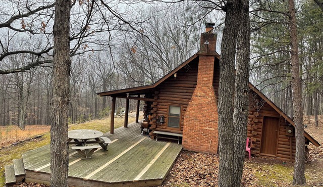Cozy 2-bedroom log cabin in the mountains near Berkeley Springs with AC, WiFi