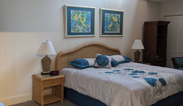 Cozy 2-bedroom condo with sunroom on a beautiful golf course St. Simons Island.n