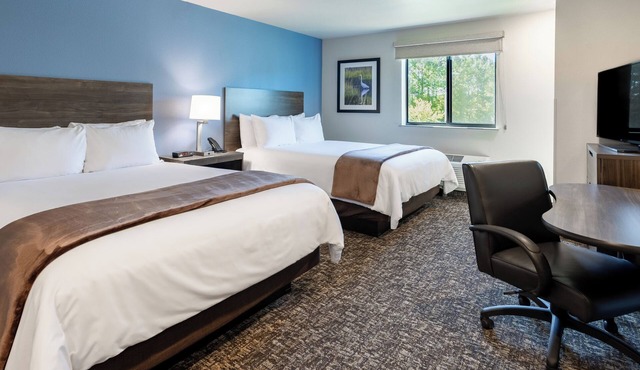 Cozy 2 Queen Beds Stay | Close to Parks
