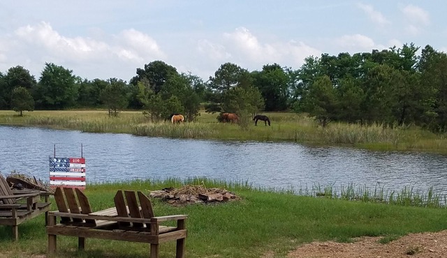 Cozy 2 rm pet friendly cabin- private lake - fishing & swimming - CowboyCabin