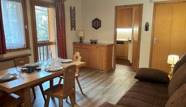 Cozy 2-Room Apartment - 100m from Ski Slopes, Near Shops - Pets Welcome