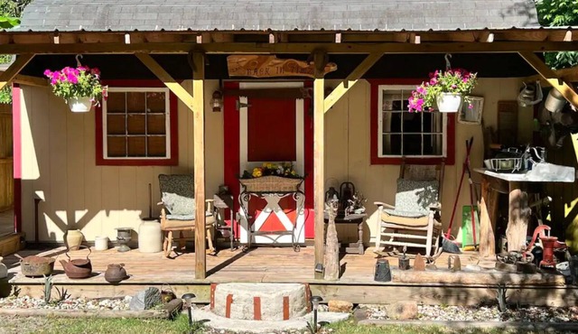 Cozy 200 ft tiny house with WiFi, AC, located in nature and close to so much.