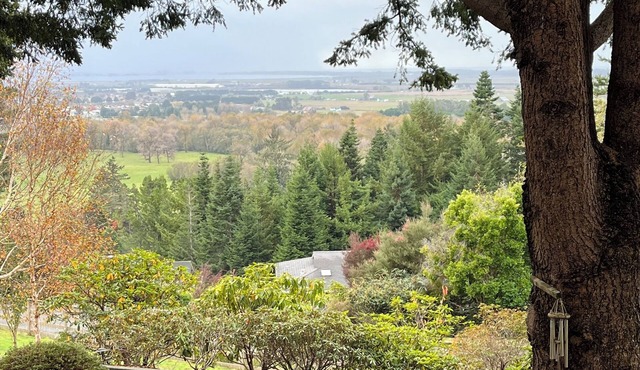 Cozy 25 ' Airstream not far from Arcata with privacy and an amazing view