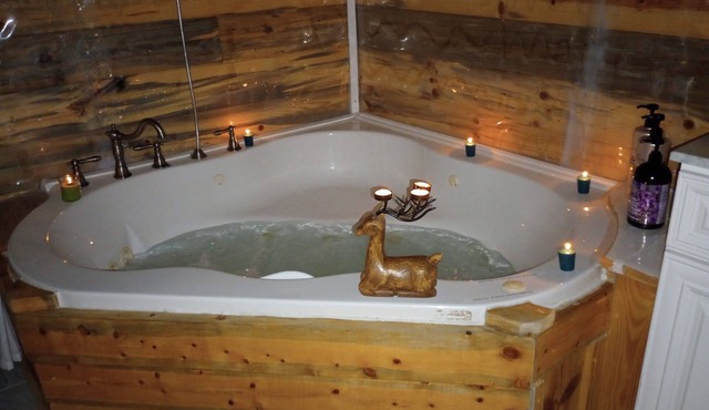 Cozy 2BR Cottage with large Jacuzzi tub/shwer & starry night skys plus fast WIFI