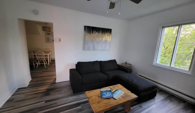 Cozy 2BR in VieuxLongueuil +parking 14min Downtown