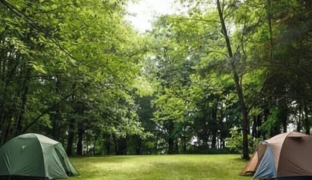 Cozy 2BR Ranch | Family-Friendly Retreat| Sleeps 6