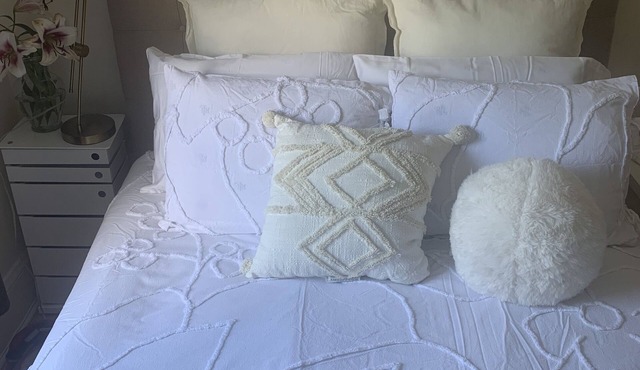 Cozy 3 Bdrm. Apt. sleeps 5 guests in the historic neighborhood of Oak Park IL