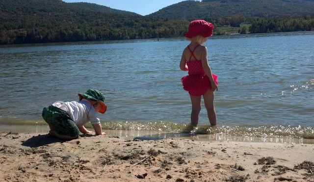 Cozy 3 bdrm country home BIG YARD and campfire area