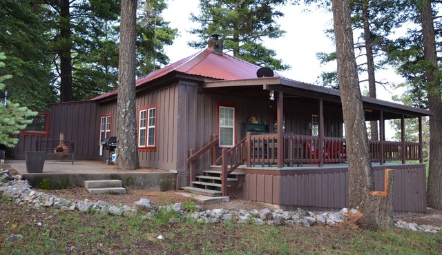 Cozy 3 bedroom 2 bath historic Cabin Retreat perfect location!