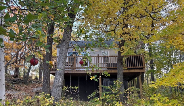 Cozy 3 Bedroom Cabin on Private Lake with canoe. Pet friendly!