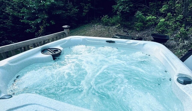 Cozy 3-bedroom chalet close to Schuss Mountain, Bellaire, and Torch lake