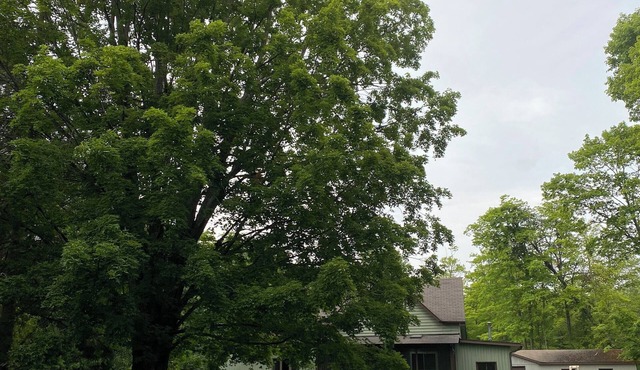 Cozy 3-bedroom cottage with WiFi in Washington