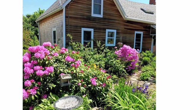 Cozy 3-bedroom home in Belfast Maine, with Beach Access