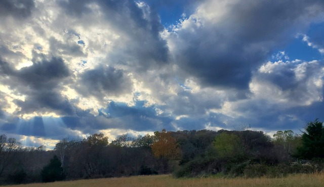 Cozy 3 bedroom house with cabin vibes and a beautiful view