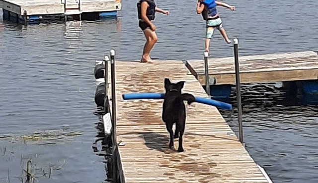 Cozy 3 Bedroom Lakefront Cottage w/Huge Deck Overlooking Lake