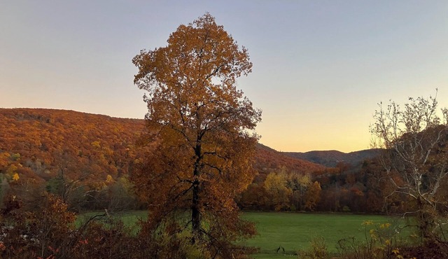 Cozy 3-Bedroom Seasonal Rental on 32 Acres in Montgomery, MA