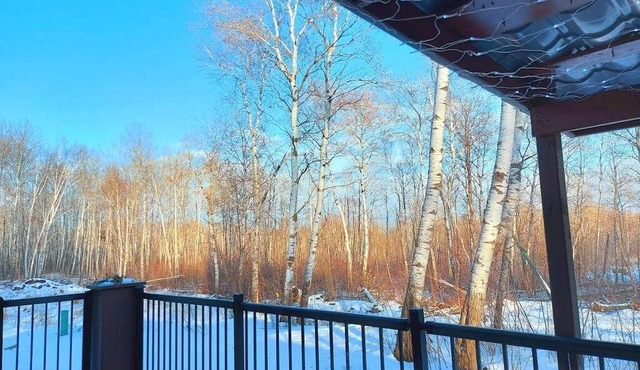 Cozy 35 Acre Waterfront Property With Cabin