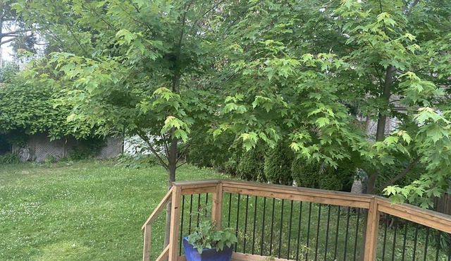 Cozy 4 Bedroom Bungalow in Lakeview Mississauga