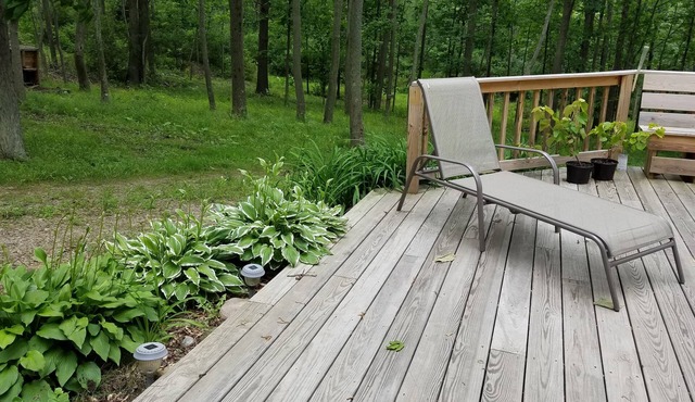 Cozy 4-bedroom cabin in Canisteo perfect for a relaxing, remote getaway