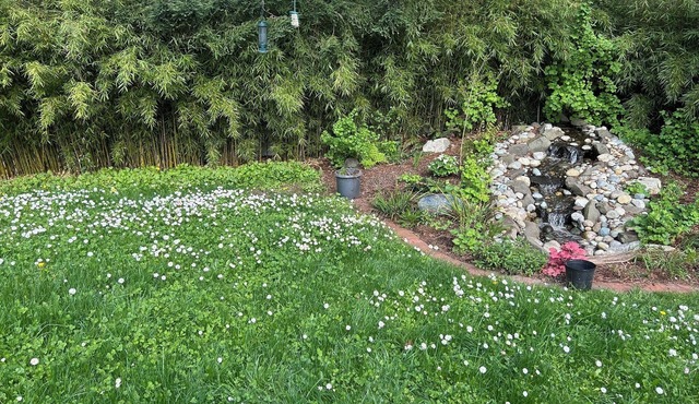 Cozy 4BR home near SeaTac airport, parks, beaches & bike path