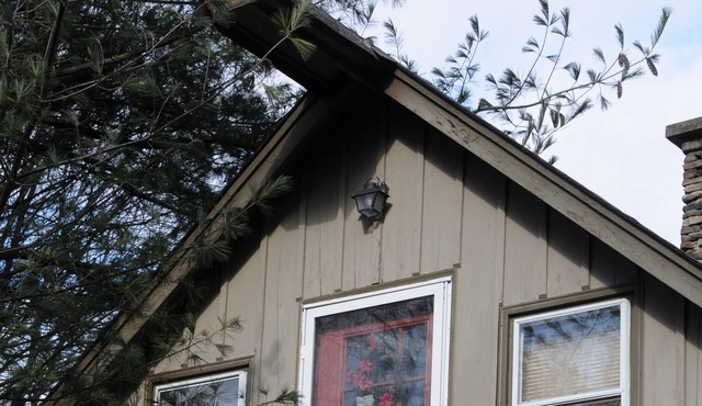 Cozy A -Frame Chalet, Kitchenette, Treehouse View (C)
