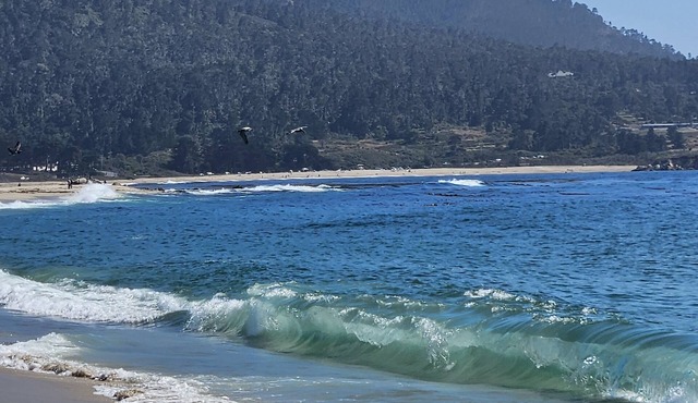 Cozy, all new place with everything you need. Serene views, easy hwy access!