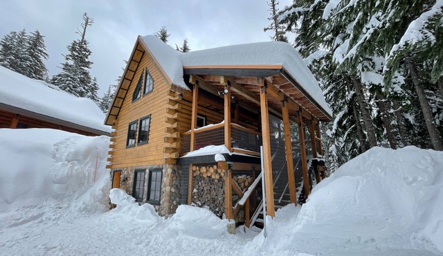 Cozy Alpine style chalet ,Hot Tub in the trees , Pet Freindly ,Fast Internet