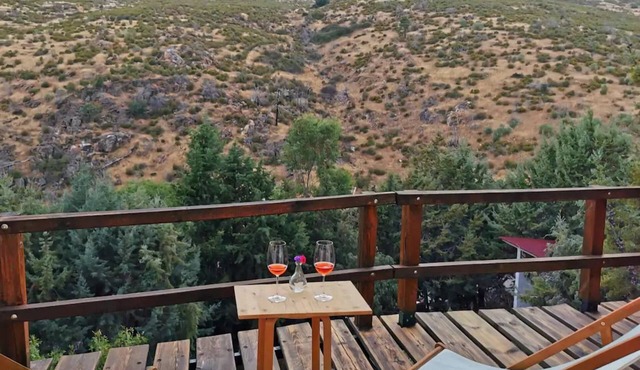 Cozy and bright rural house. Terrace 22 mts