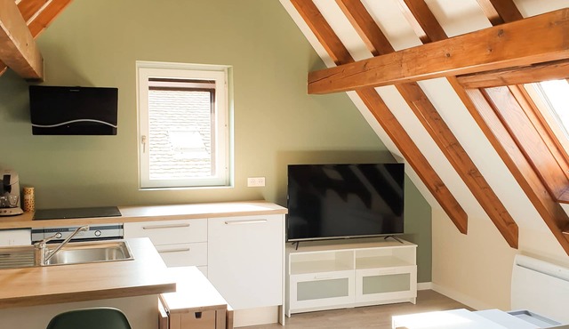 Cozy and charming apartment, 5 mn from city center