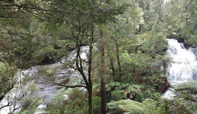 Cozy and comfortable