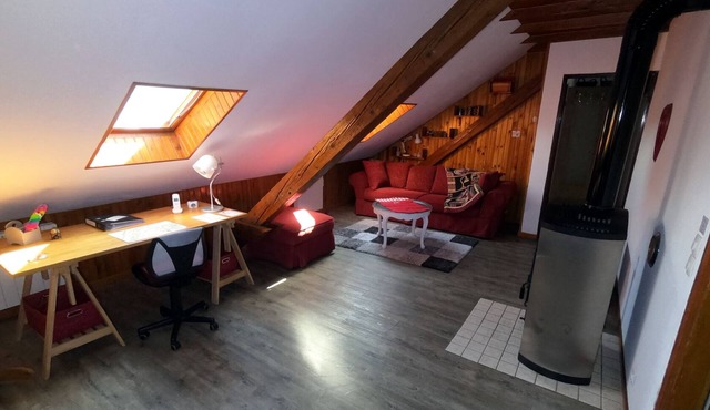 cozy and comfortable apartment near the center of Colmar