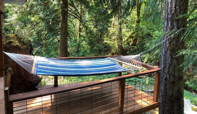 Cozy and Dog friendly retreat by Relaxing Creek & Hot tub by Lake Cushman
