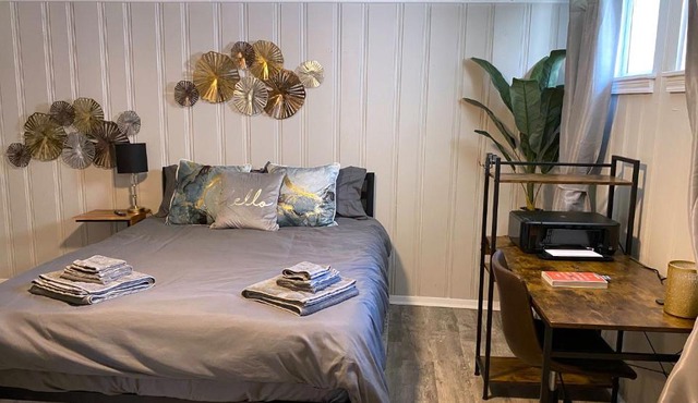 Cozy and Modern 1BR Apartment with WiFi and Dogs Welcome