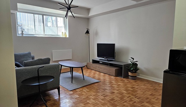 Cozy and Modern Bachelor Apartment