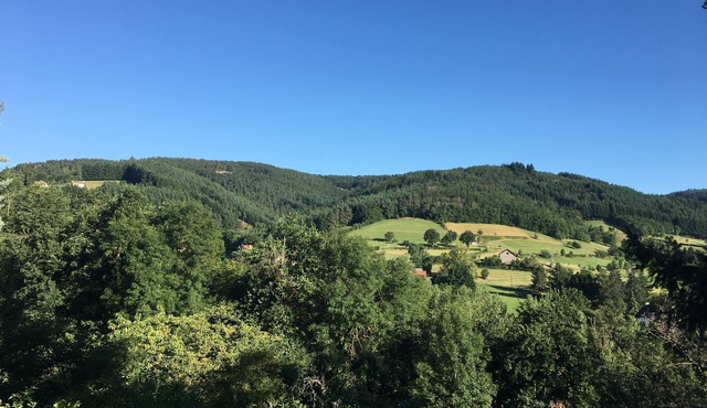 Cozy and natural Firminy room near Le Corbusier