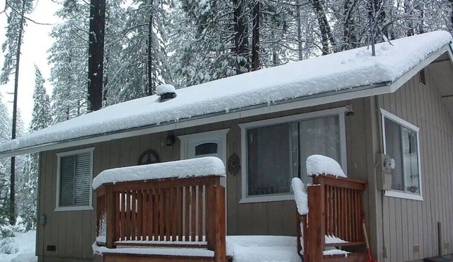 Cozy and Peaceful Cabin in the Pines