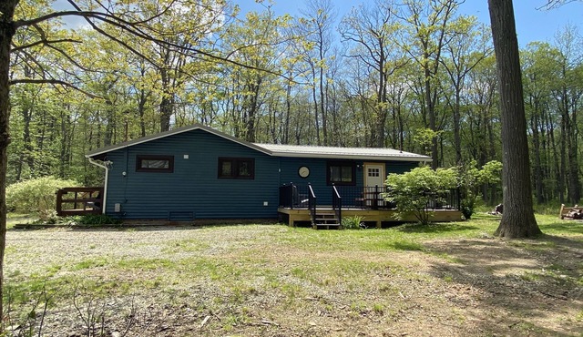 Cozy and private mountain retreat at the top of Laurel Mountain