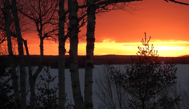Cozy and Quiet Cottage on Mira River. Close to Sydney and Fortress Louisbourg.