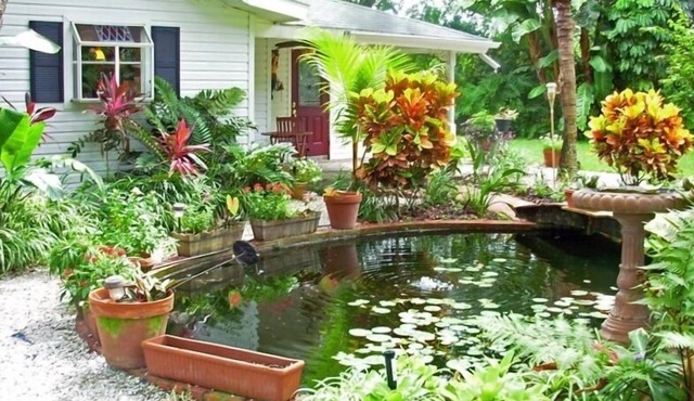 Cozy and roomy cottage