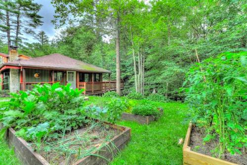 Cozy and Secluded Cabin with a Fireplace in the Poconos Mountains of Pennsylvania