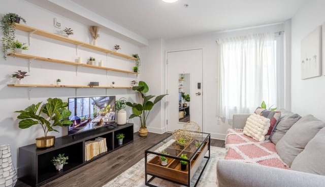 Cozy and Spacious Condo Downtown