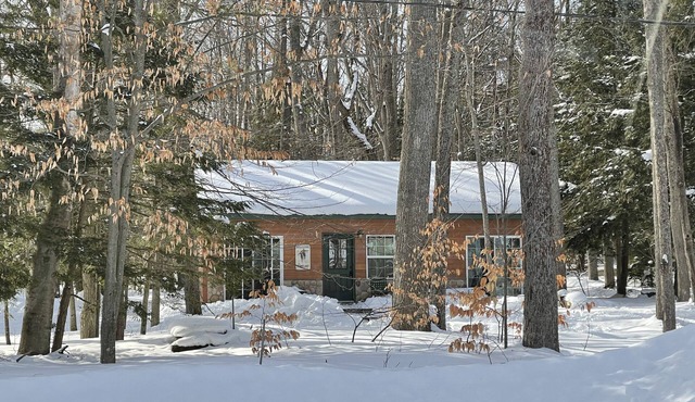 Cozy and very nice cabin with water view and water/snowmobile access!