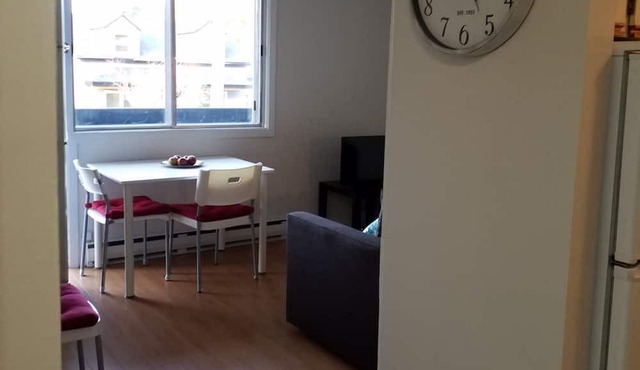 Cozy and welcoming unit in a small apartement building - New listing
