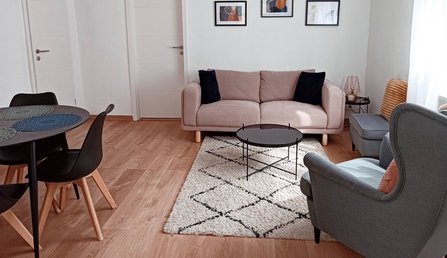 Cozy apartment in a quiet house and free parking