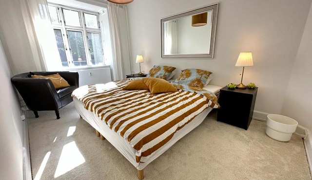Cozy Apartament very Central Copenhagen 2 bedroom 1 livingroom with sofabed