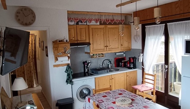 Cozy apartment near ski slopes with garage