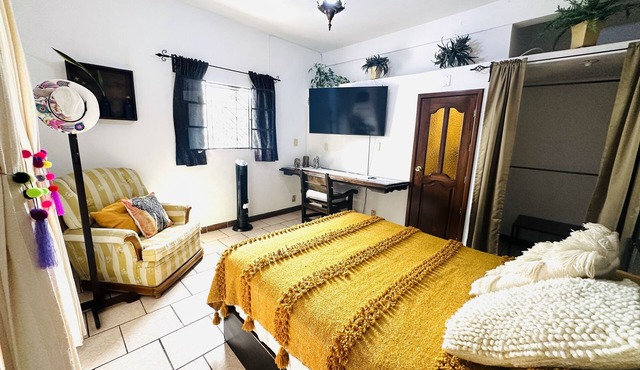 Cozy apartment with kitchen and garden